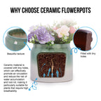 Handmade Ceramic Planter Set of 2