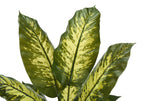 Artificial Evergreen Tree - 47" Tall Indoor Faux Plant