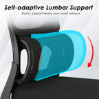 Mesh Ergonomic Office Chair with Lumbar Support