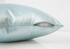 Decorative Throw Pillows Set Of 2
