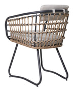 Outdoor Wicker Dining Chairs Set of 2, Patio Dining Chairs with Cushions