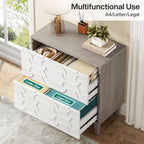 2-Drawer Lateral File Cabinet