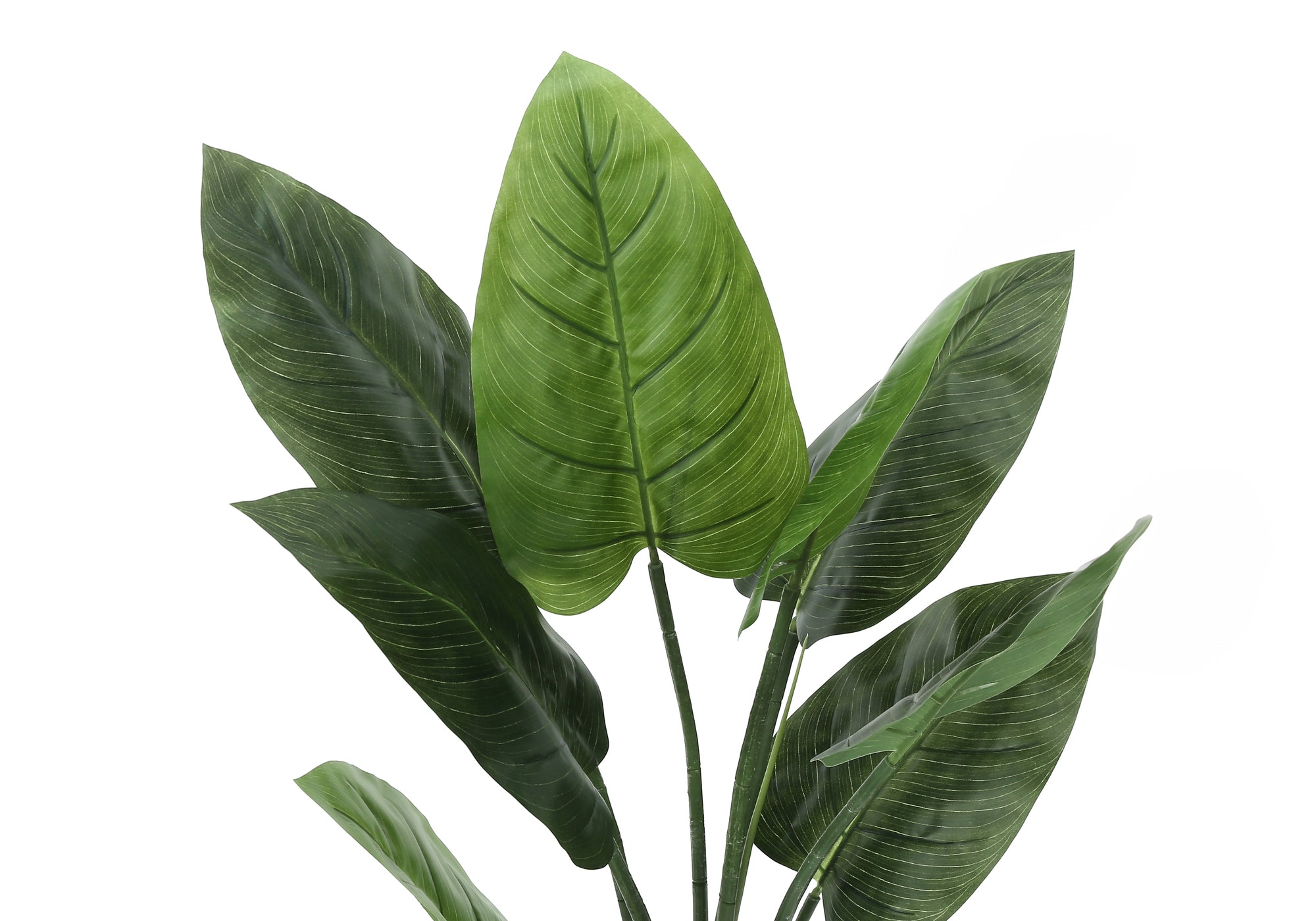 Artificial Plant - 37" Tall Aureum Tree