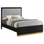 Sophia Queen Bed