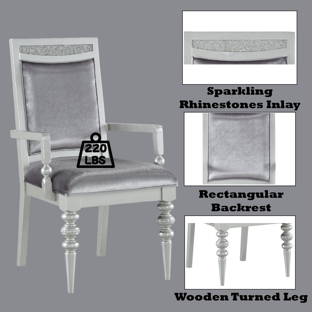 Maverick Fabric & Platinum Finish Arm Chair Set of 2