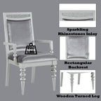 Maverick Fabric & Platinum Finish Arm Chair Set of 2