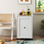 Organizer for Pantry - Sliding Out Snack Cabinet