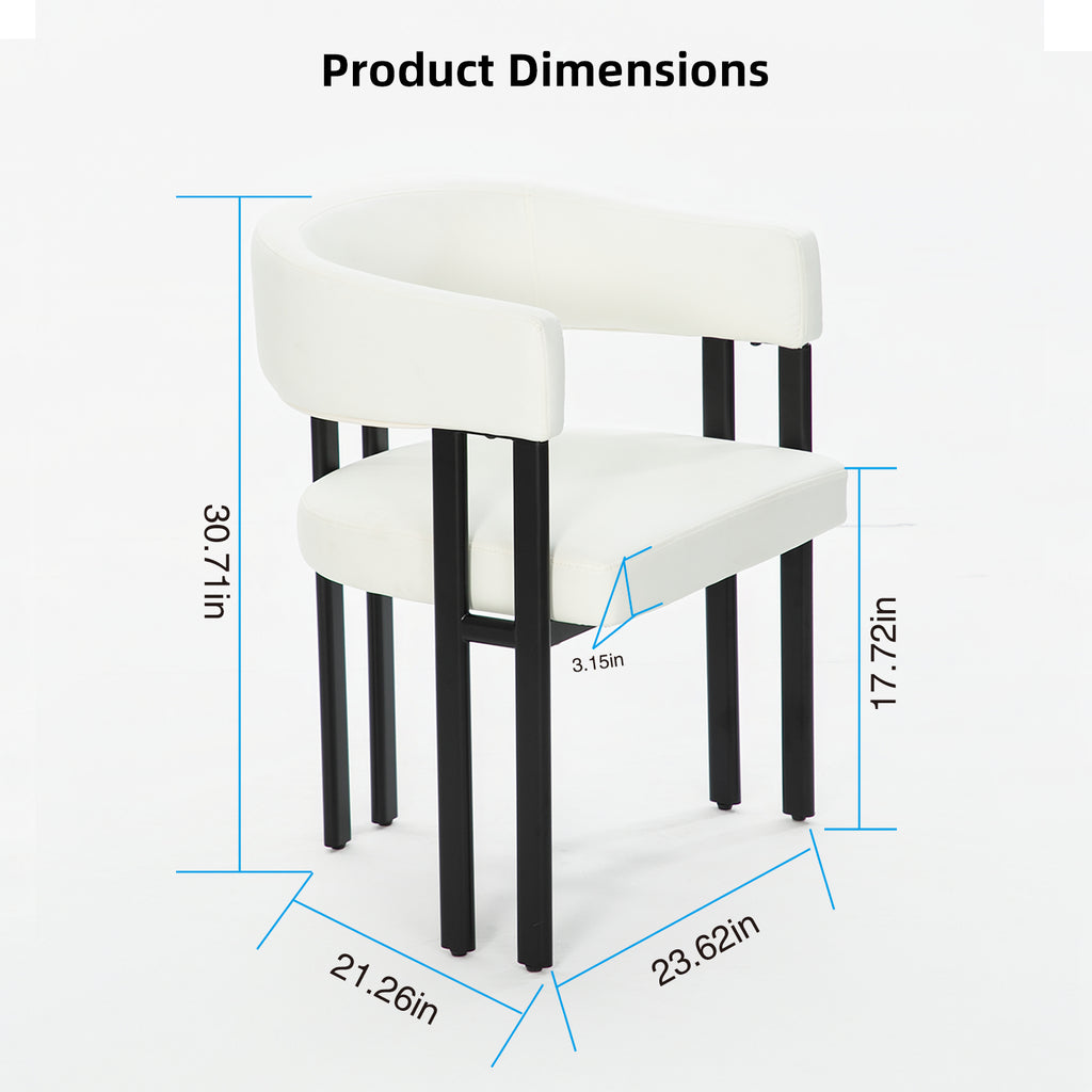 Modern Dining Chairs Set of 2