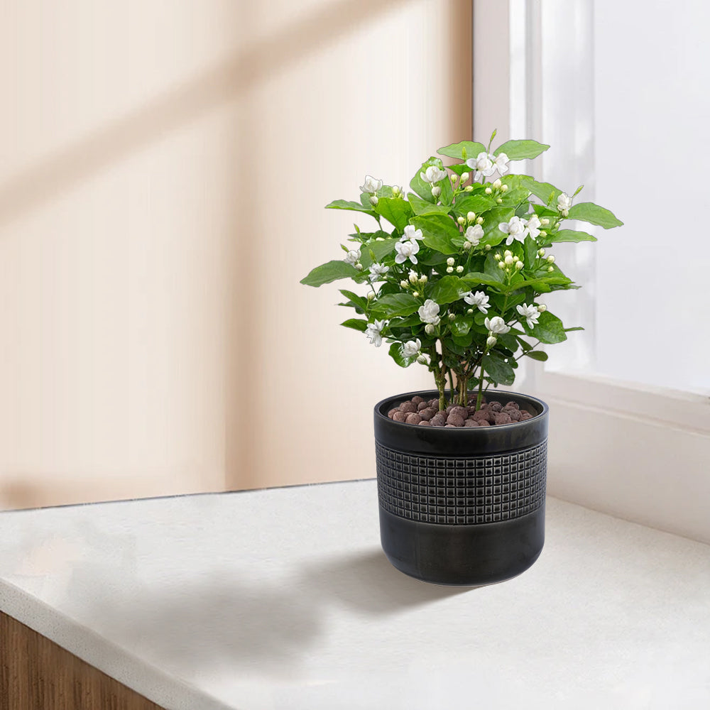 Handmade Ceramic Garden Pots & Planters