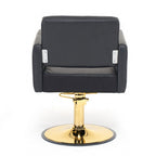 Barber Chair for Hair Stylist