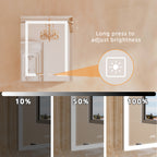 Bathroom LED Lighted Medicine Cabinet with Storage