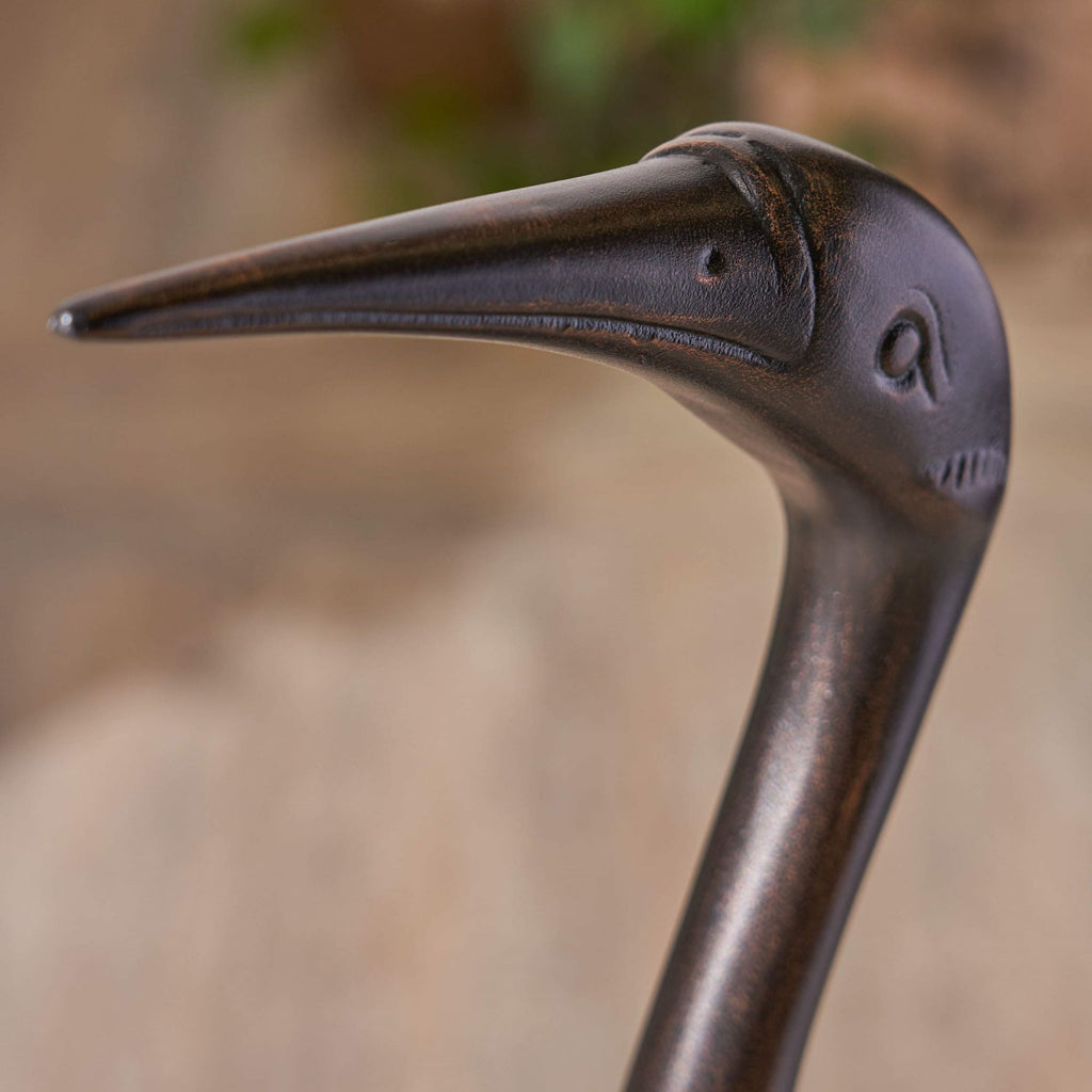 Bird Animals
