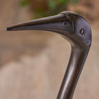 Bird Animals