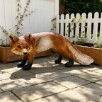 19.69" Long Realistic Fox Statue