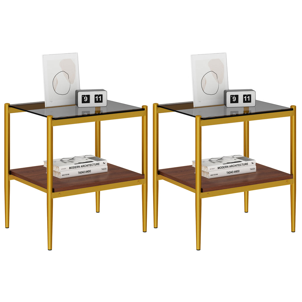 Set of 2 Rectangle End Tables with Tempered Glass Top