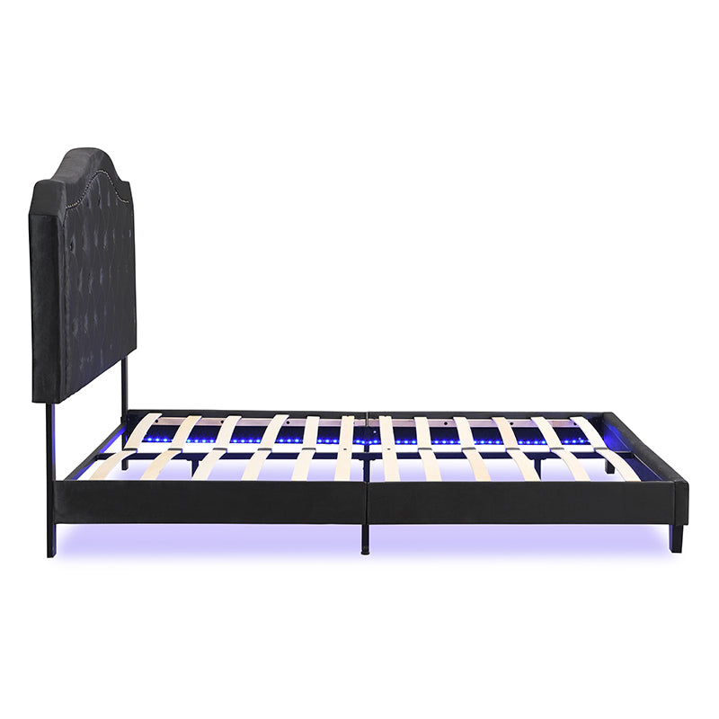 Queen Upholstered Bed Button Tufted with Curve Design