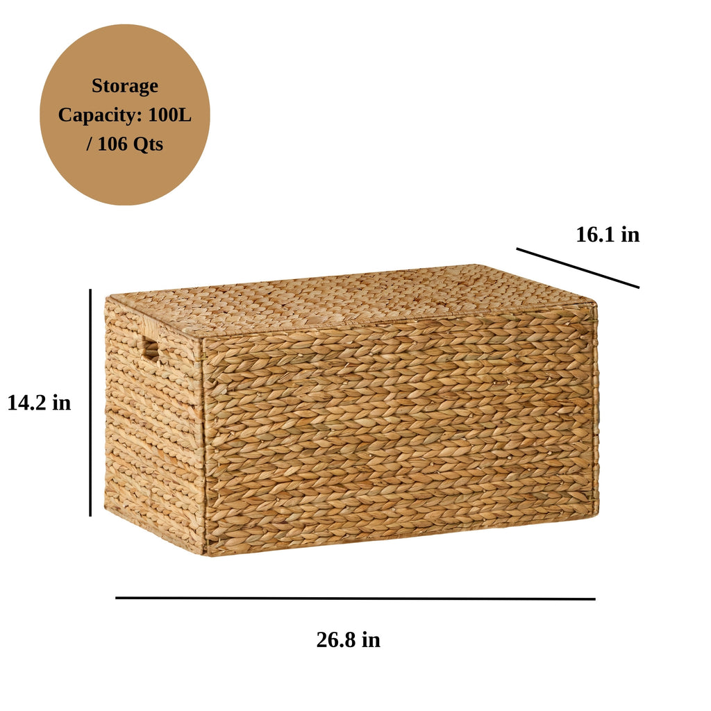 Ludmila Water Hyacinth Rectangular Storage Trunk