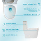 Ceramic One Piece Toilet for Bathroom