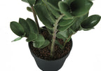 Artificial Zz Tree - 29" Tall Indoor Faux Plant