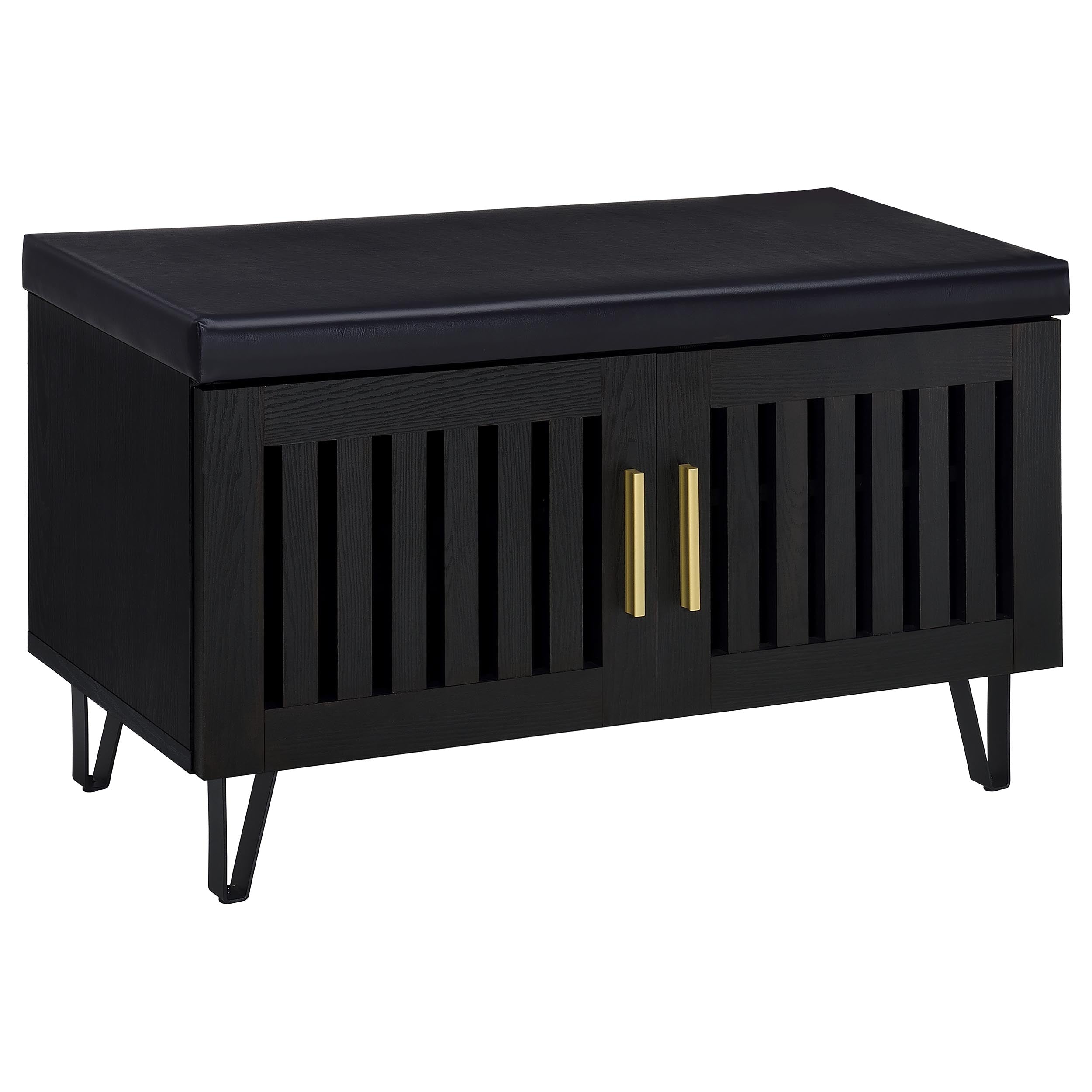 Brixton 2-door Padded Entryway Shoe Storage Bench Black-