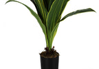 Artificial Dracaena Tree - 47" Tall Indoor Plant