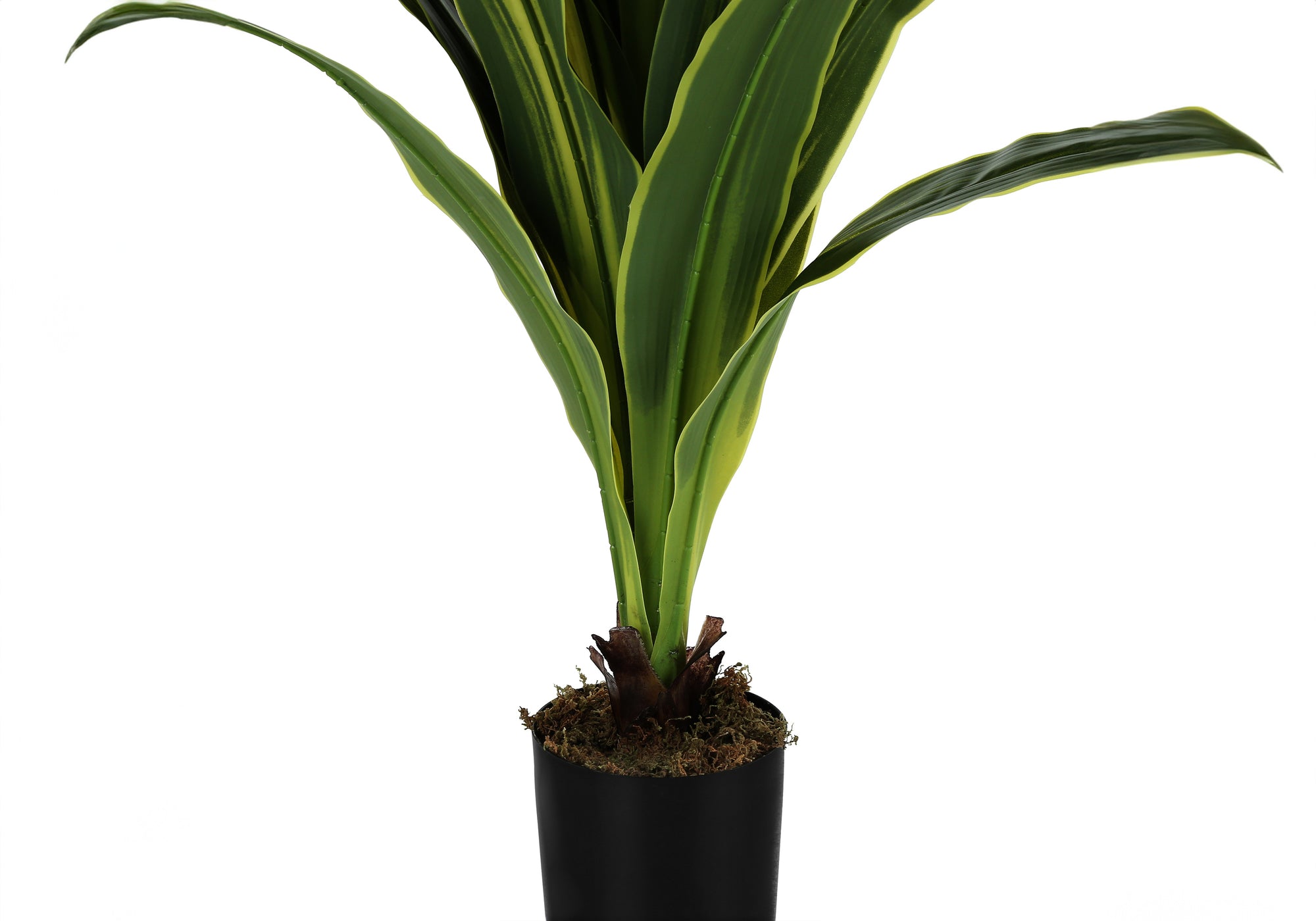 Artificial Dracaena Tree - 47" Tall Indoor Plant