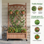 Raised Garden Bed with Trellis 2 Pack