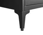 Metal Adjustable 2 Doors Storage Cabinet