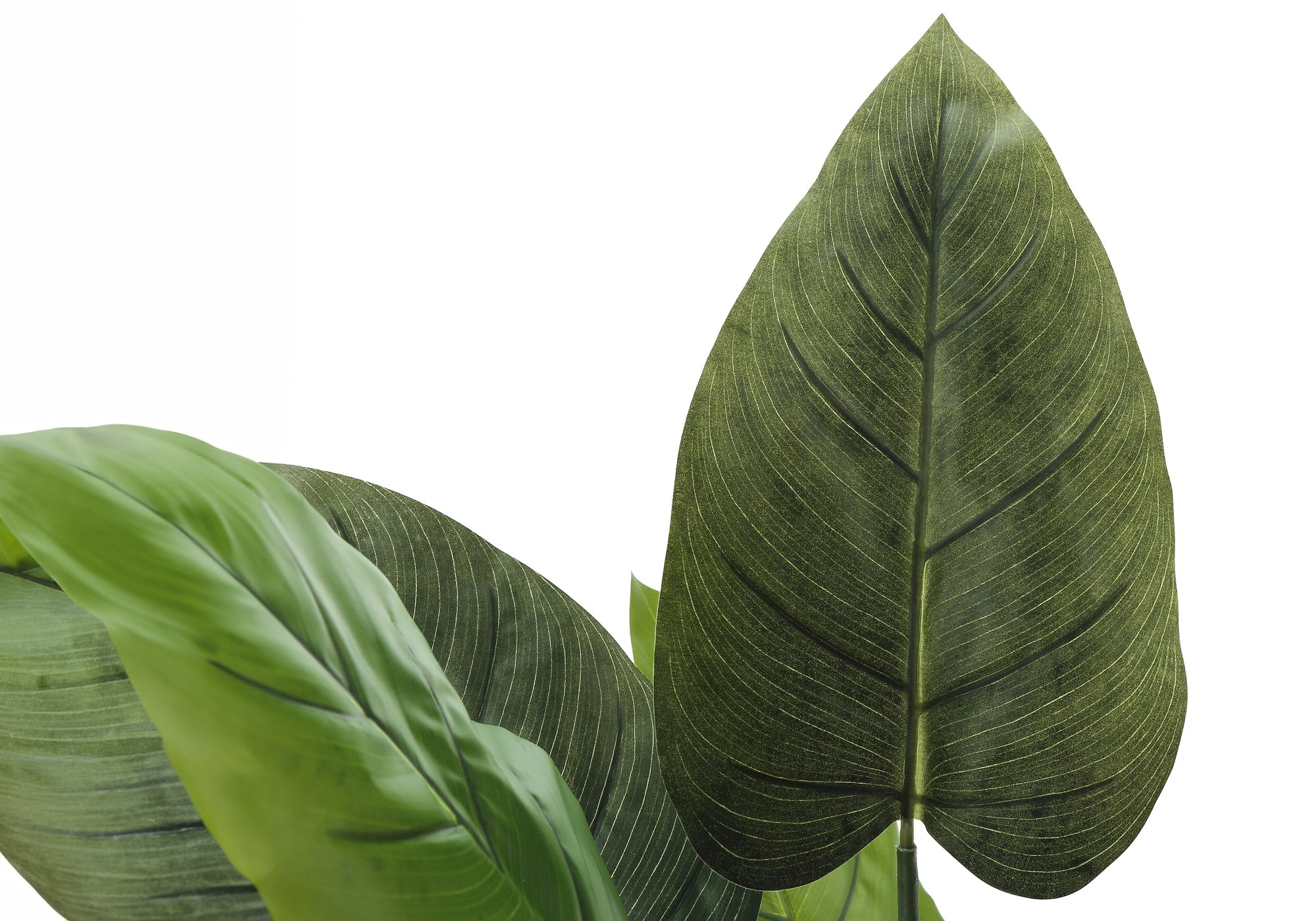Artificial Plant - 37" Tall Aureum Tree