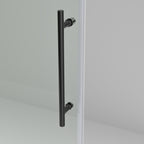 Frameless Sliding Shower Door