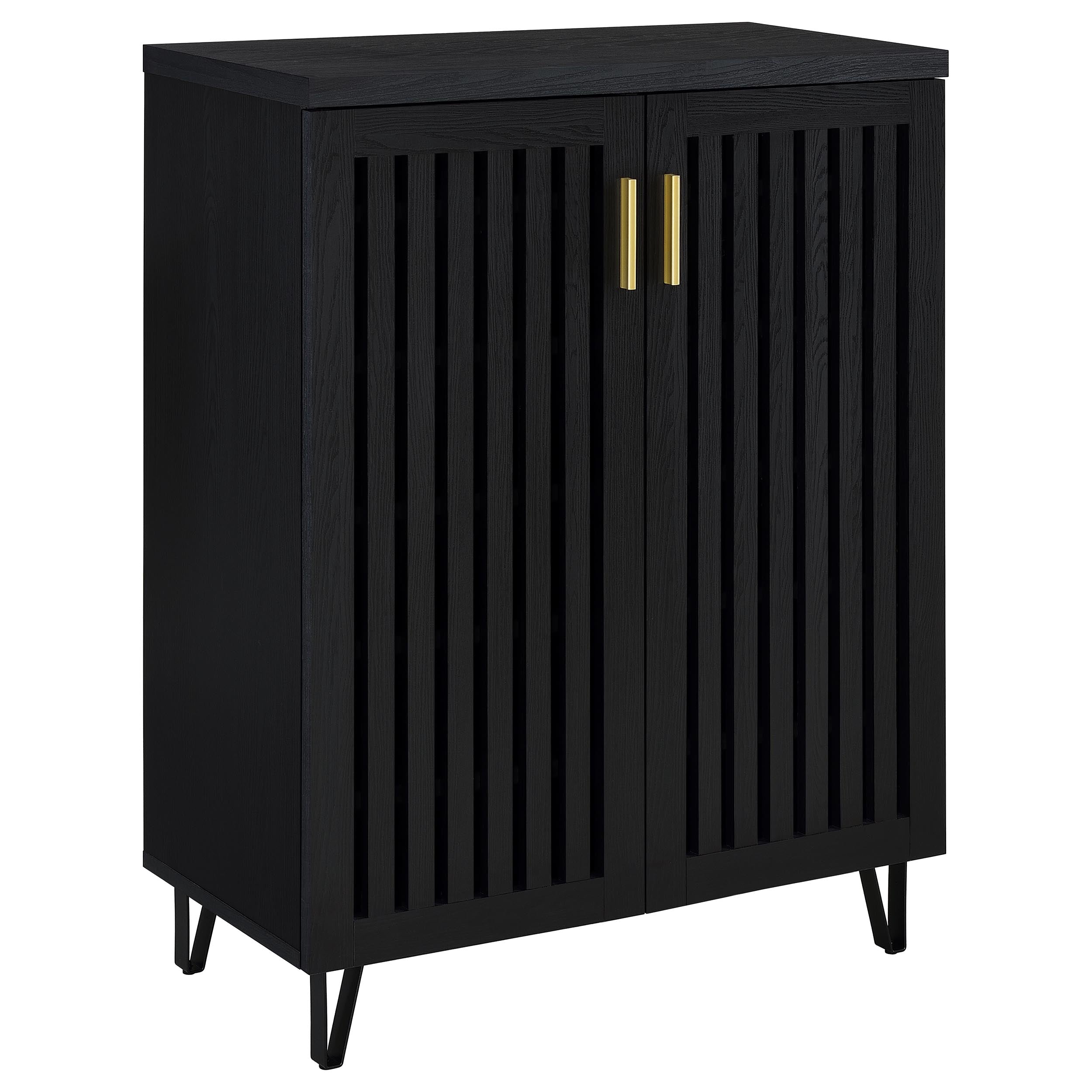 Brixton 2-door Entryway Shoe Storage Cabinets Black-
