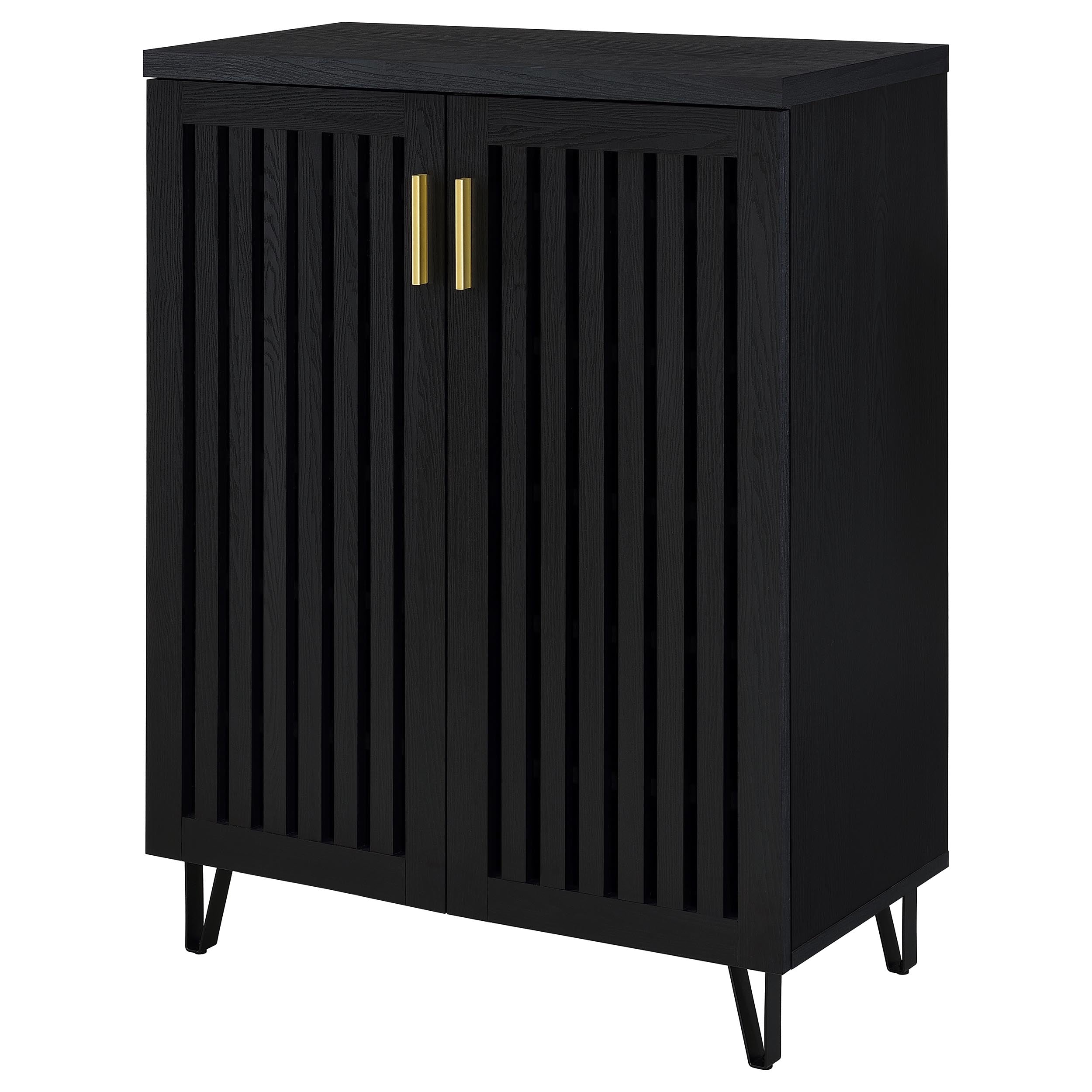Brixton 2-door Entryway Shoe Storage Cabinets Black-
