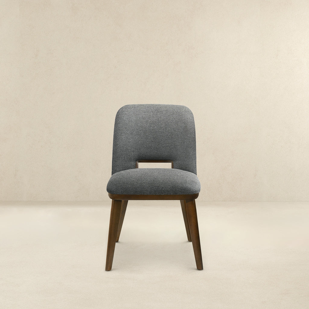 Modern Blake Dark Dining Chairs - Set of 2