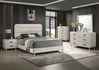 Plush Upholstered Design 1pc Queen Size Panel Bed
