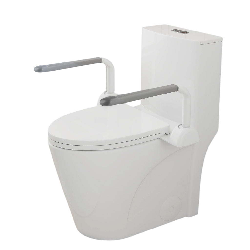 Upgraded Design Armrest One-Piece Toilet