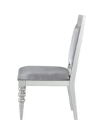 Maverick Fabric & Platinum Finish Side Chair (Set of 2)