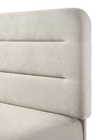 Plush Upholstered Design 1pc Queen Size Panel Bed