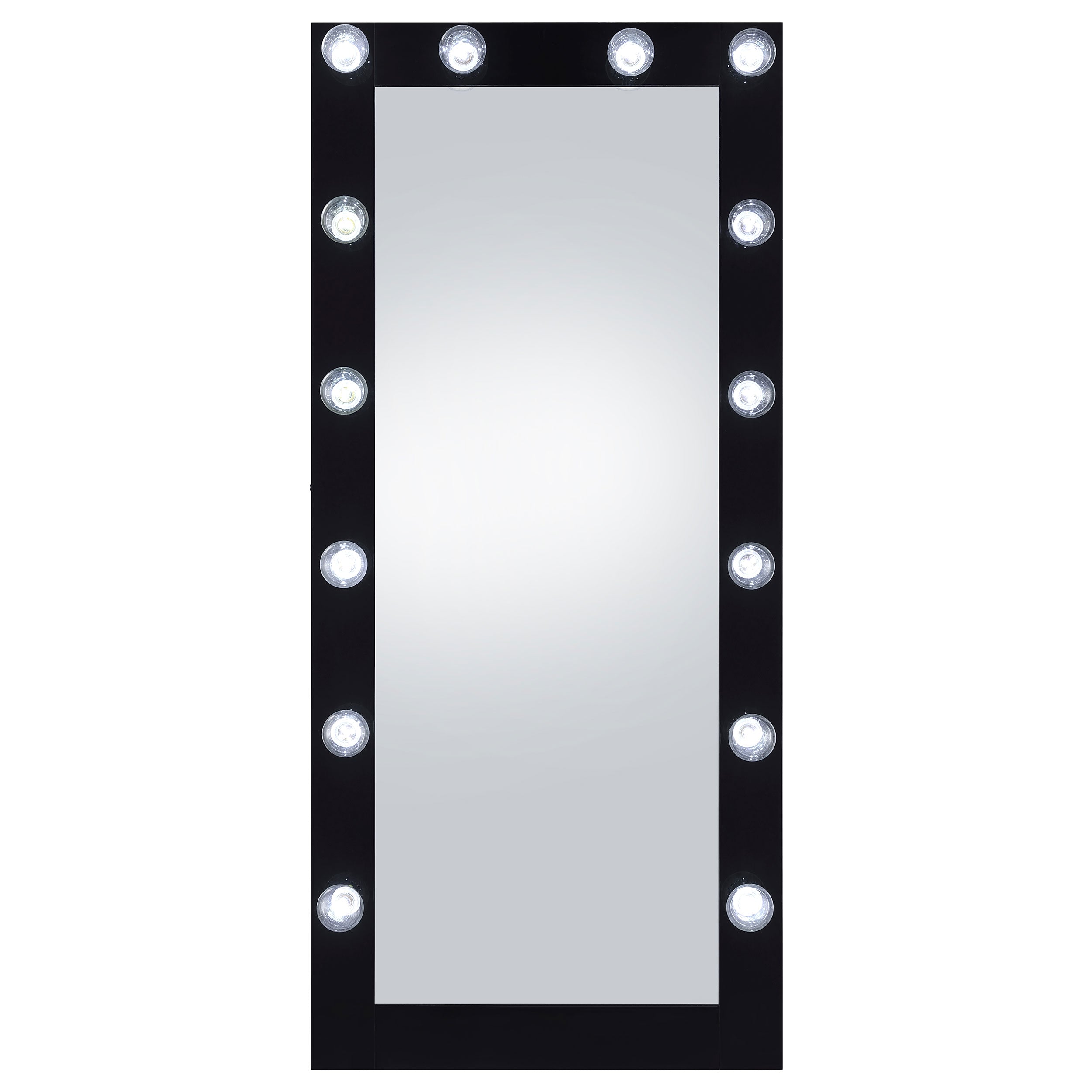 Zayan 32 x 71 Inch Floor Mirror LED Lighting Black Gloss-