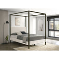 B062S00618
