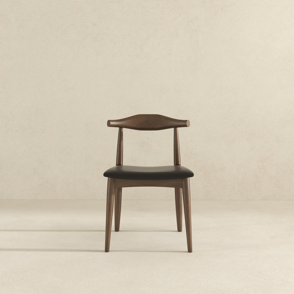 Destiny Modern Dining Chairs (Set of 2)