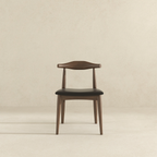 Destiny Modern Dining Chairs (Set of 2)