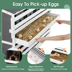 Wooden Chicken Nesting Box with 8 Compartments