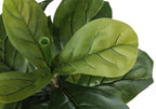 41" Tall Artificial Fiddle Tree - Faux Indoor Plant