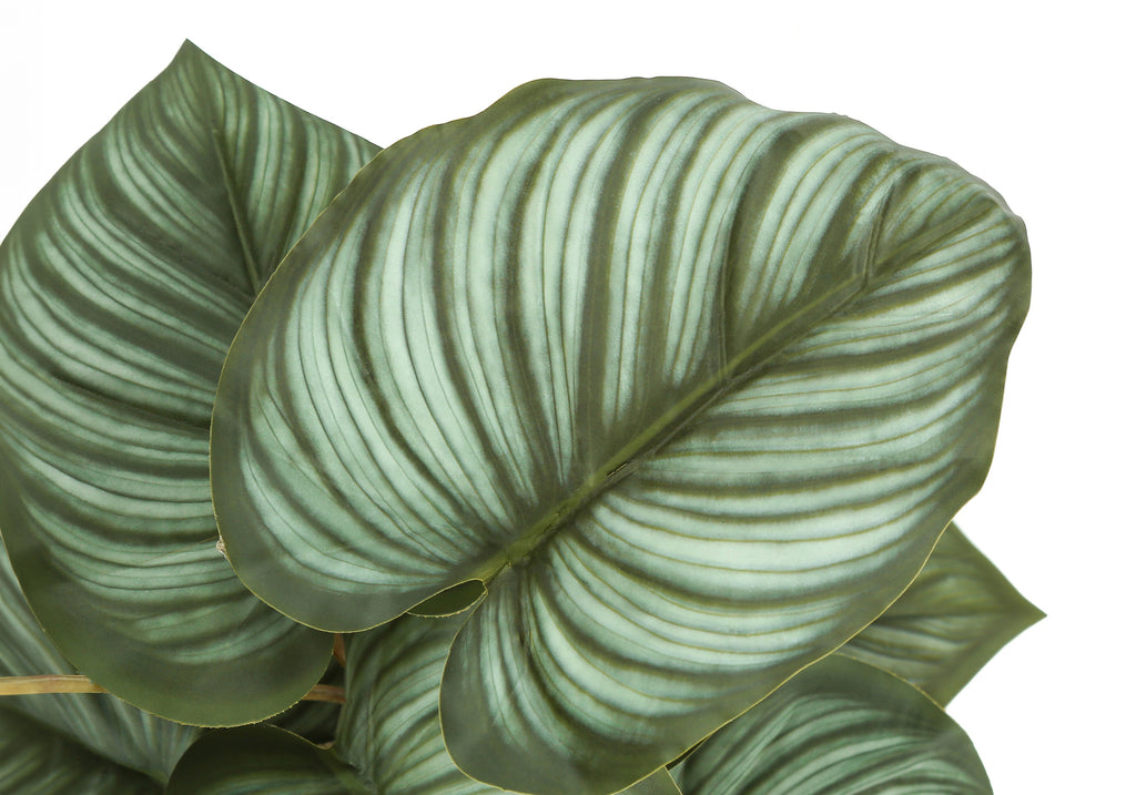 Artificial Plant Set of 2, 13" Tall Epipremnum