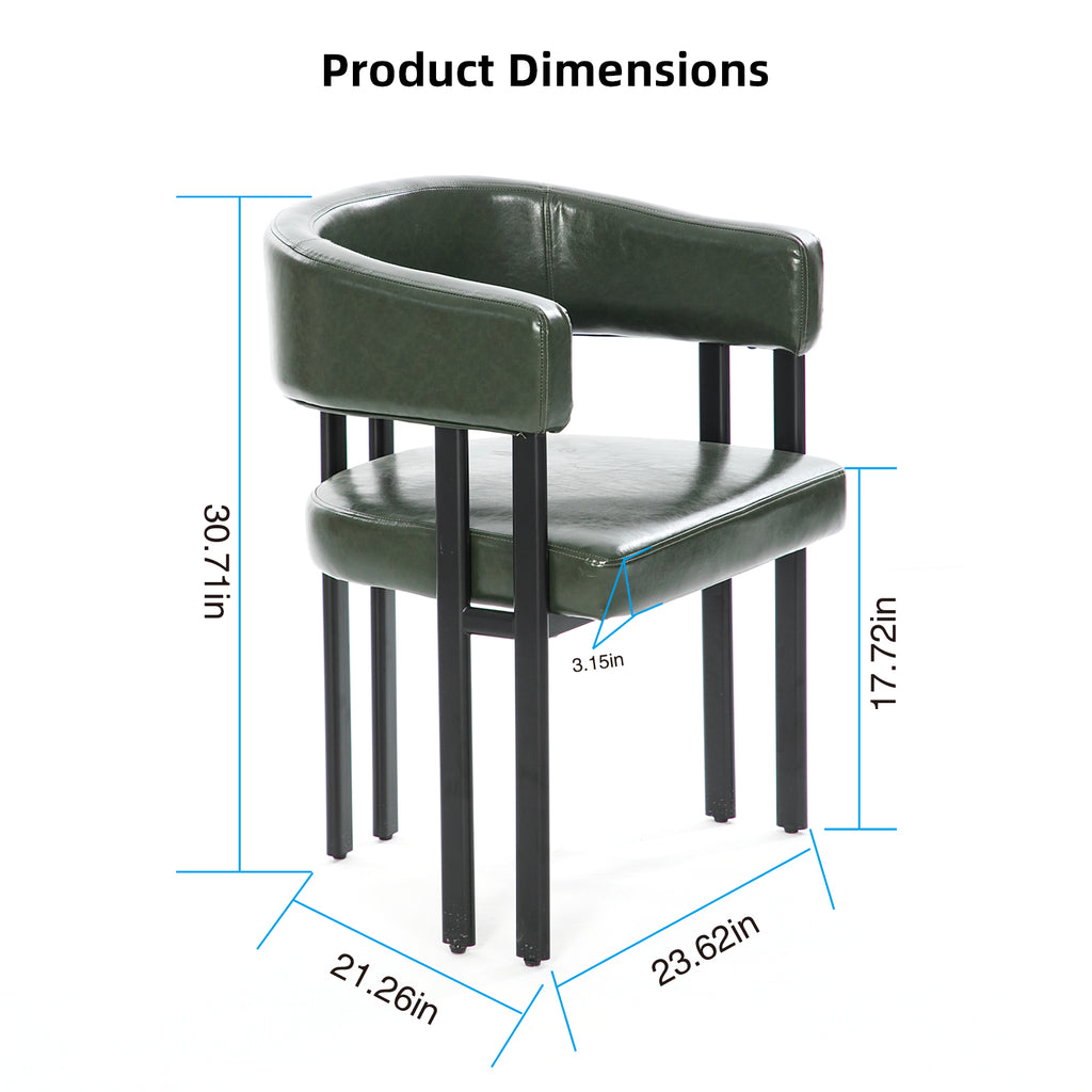 Modern Dining Chairs Set of 2