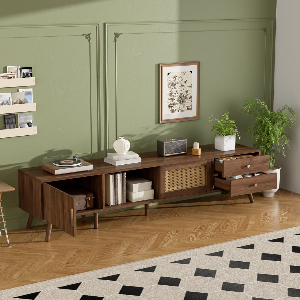 Modern Rattan Doors TV Stand for TVs up to 85 Inches