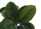 52" Tall Artificial Rubber Tree - Indoor Faux Plant