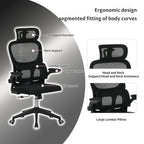 High Back Ergonomic Office Chair