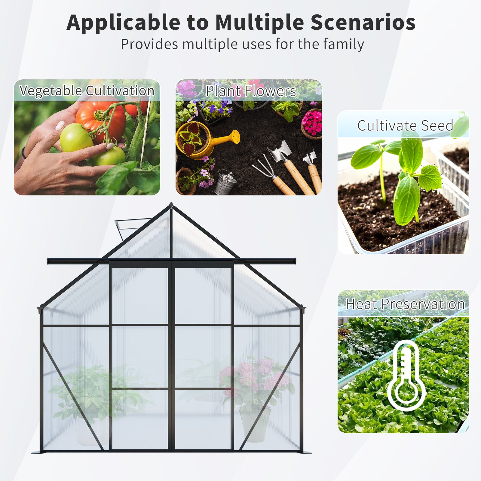 8X6FT Black Double Door Polycarbonate Greenhouse