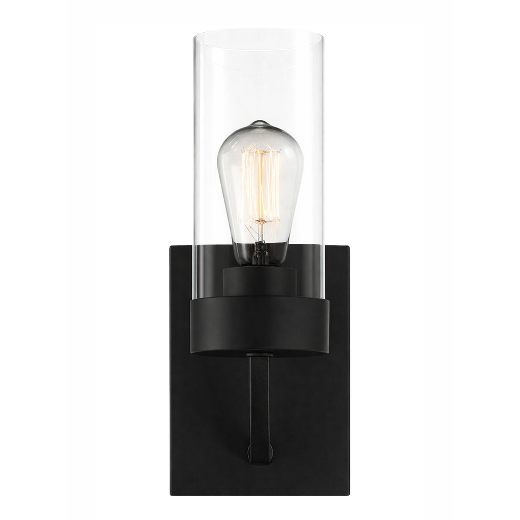 Zephyr Single Light Sconce With Clear Glass Metal